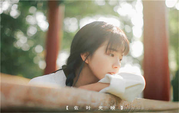 西林胎儿性别鉴定需要多少钱(胎儿性别鉴定的方法)